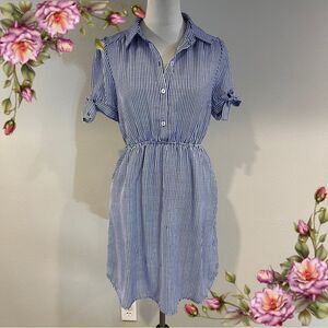 Monteau Blue and White Striped short sleeve Dress size large